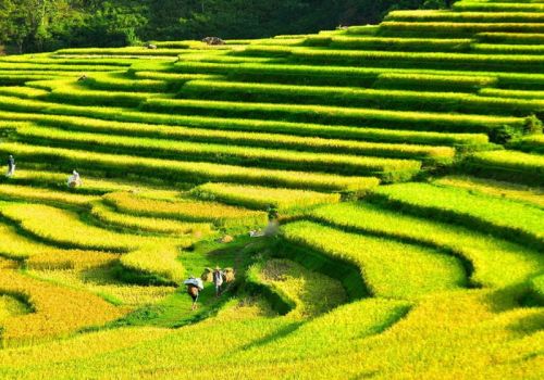 What to do in Pu Luong? Must-do activities for an unforgettable trip