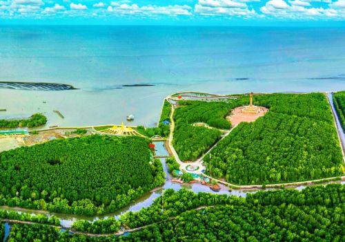 Discover Ca Mau cape - The wild beauty of Vietnam’s Southern edge