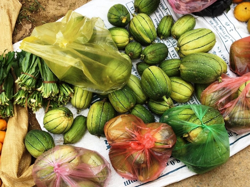 You will find a variety of vegetables (source: Lien Hiep Hop tac xa Vietnam)
