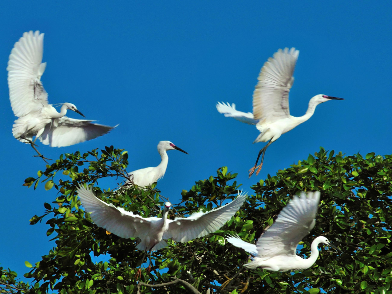 Discover the diverse ecosystem 