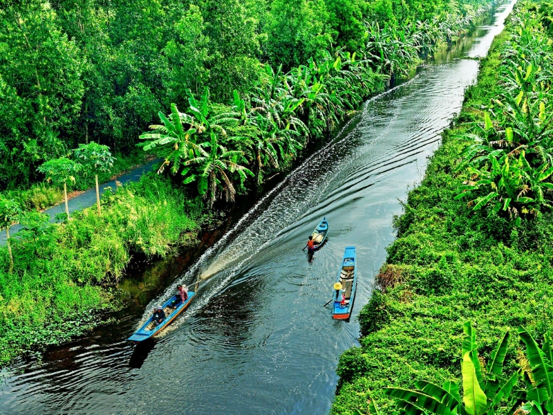 Forest sightseeing by boat