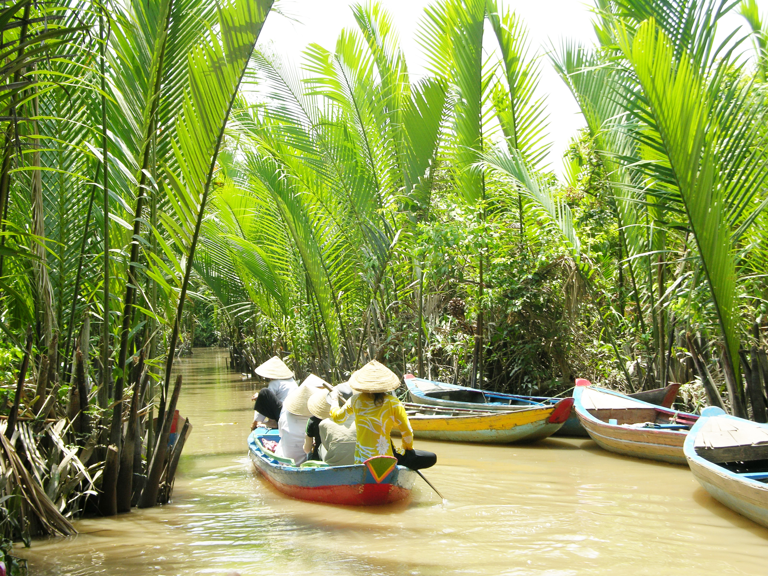 Mekong delta 2
