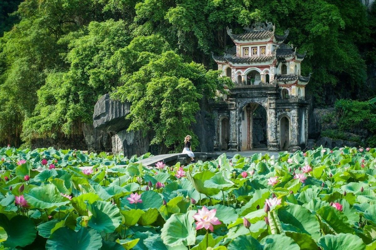 Tam coc bich dong