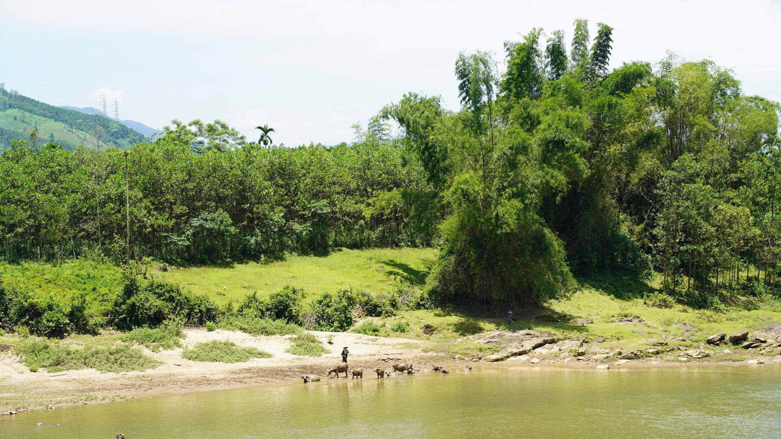 K50 Waterfall 10
