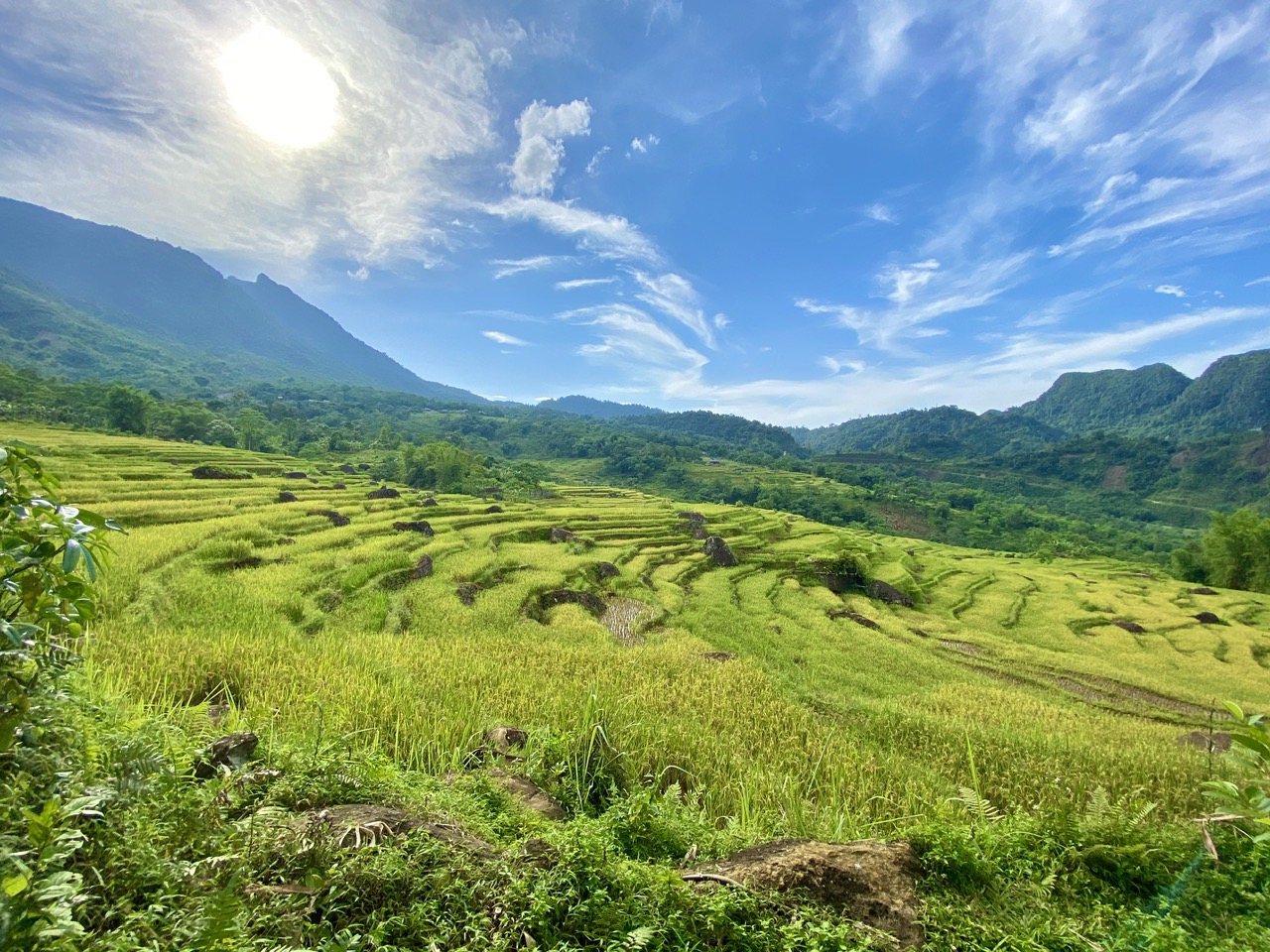 Puluong