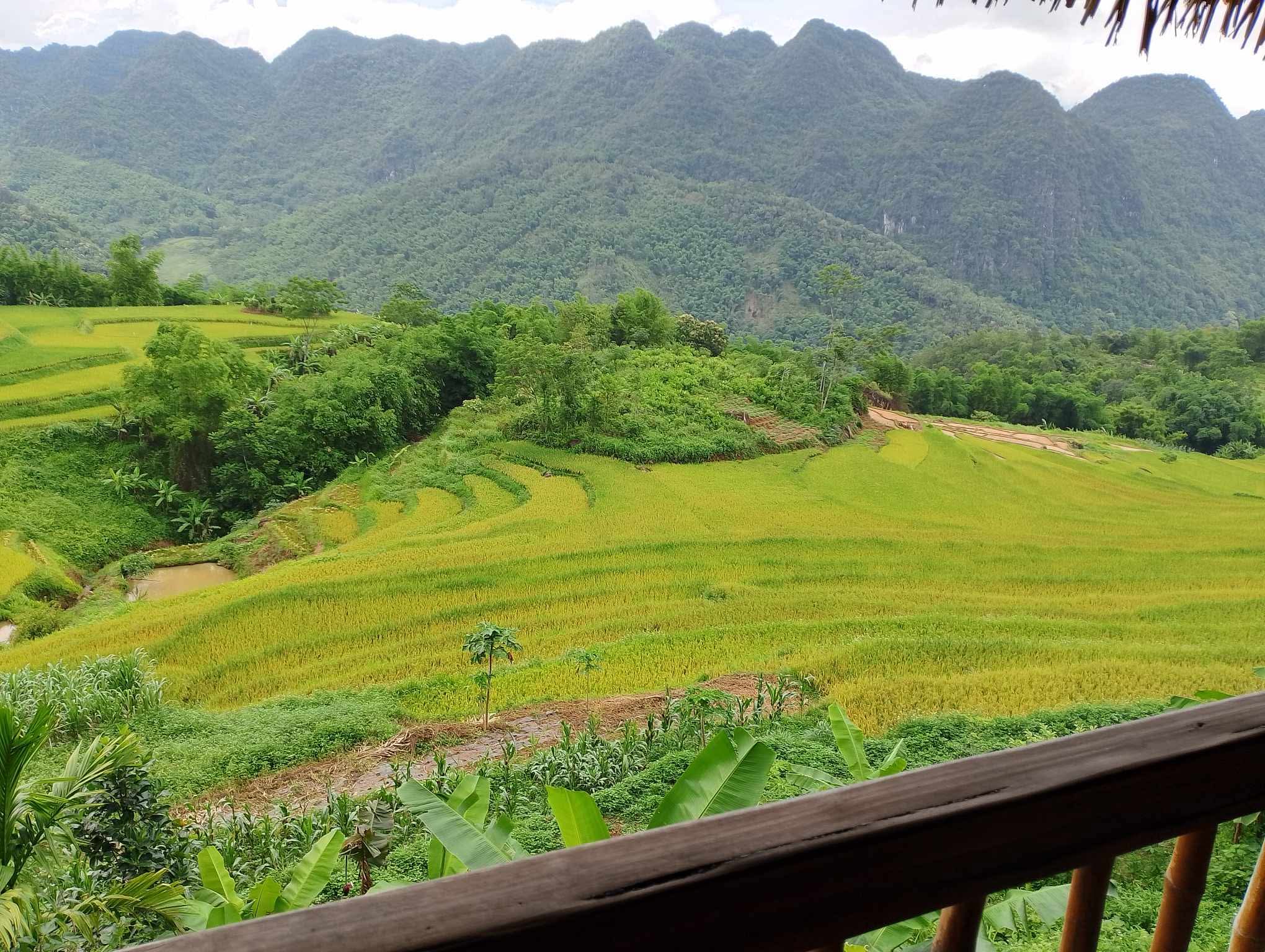 Puluong3