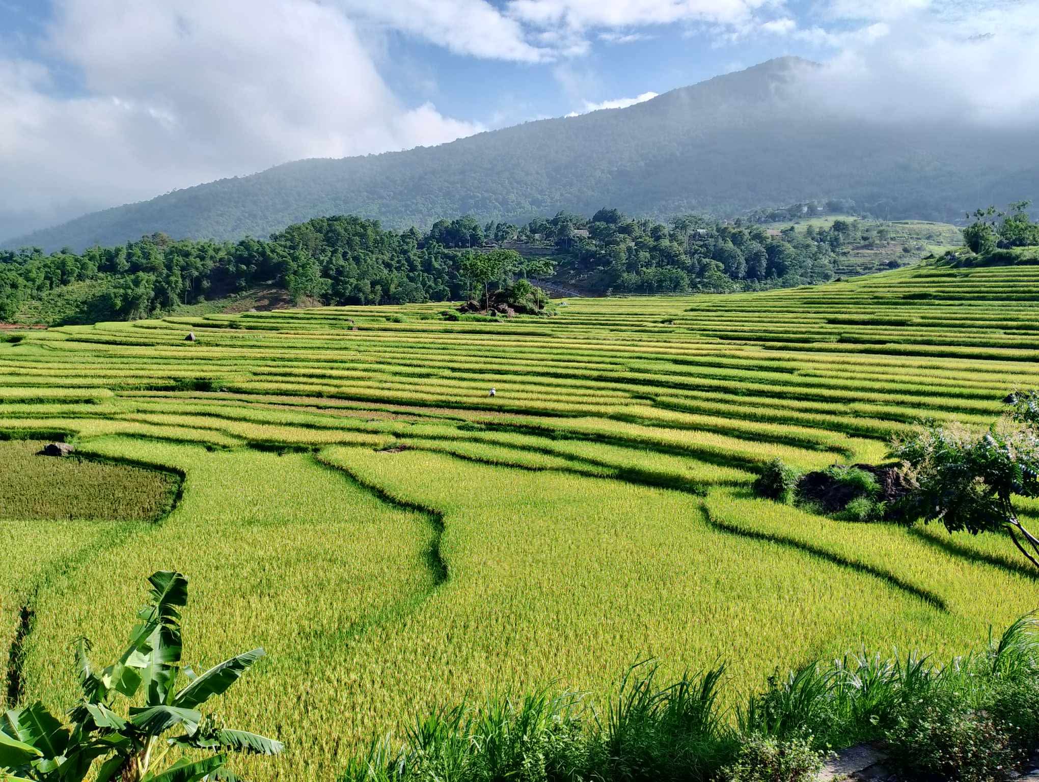 Puluong5JPEG