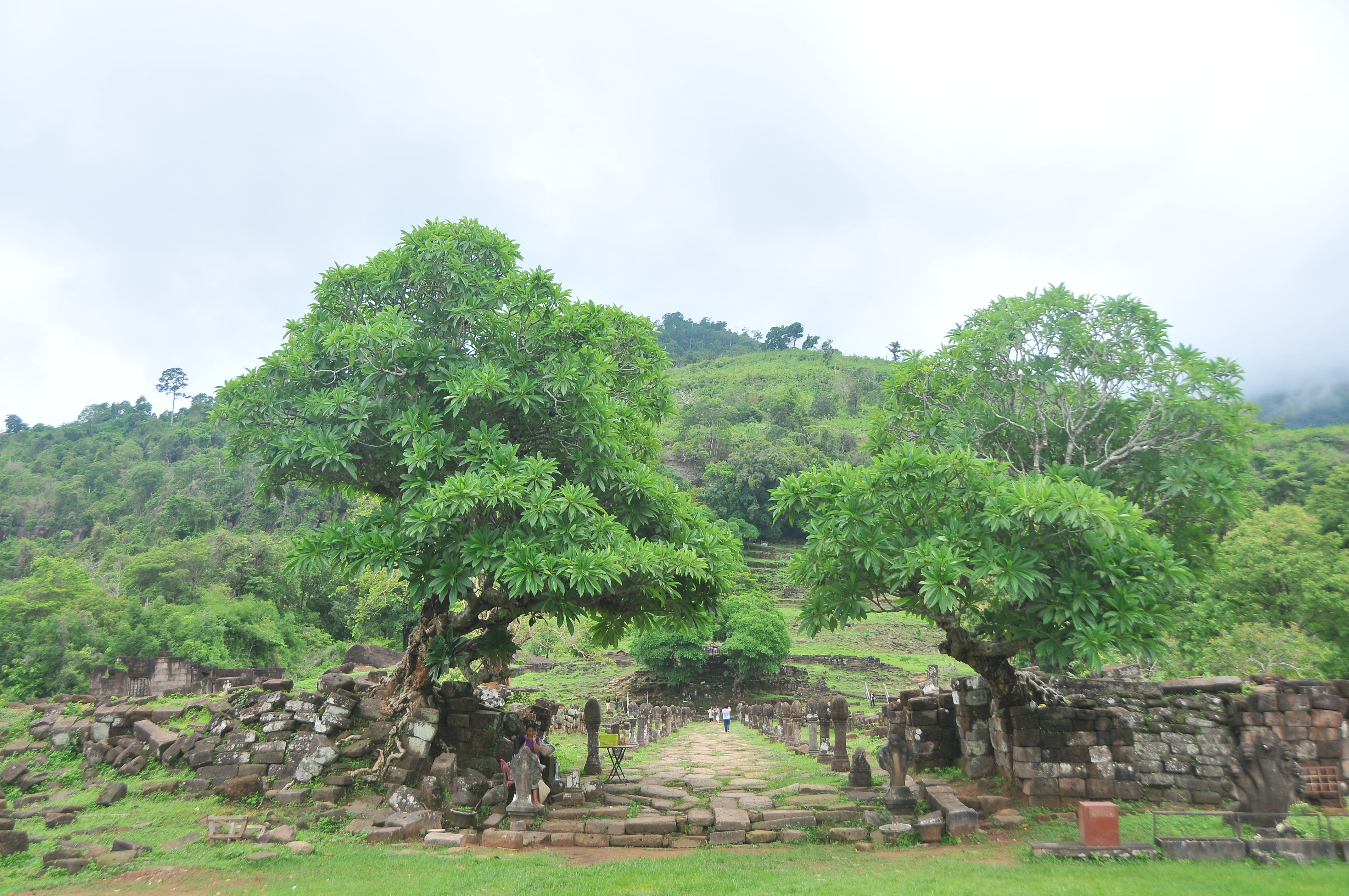 Wat Phou (11)