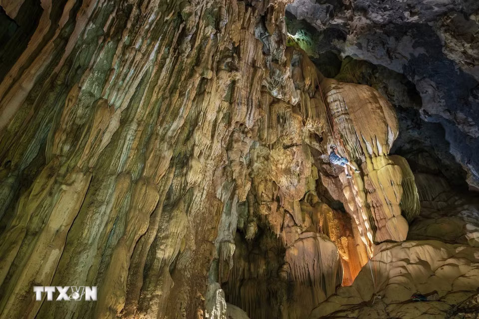 phong nha 1