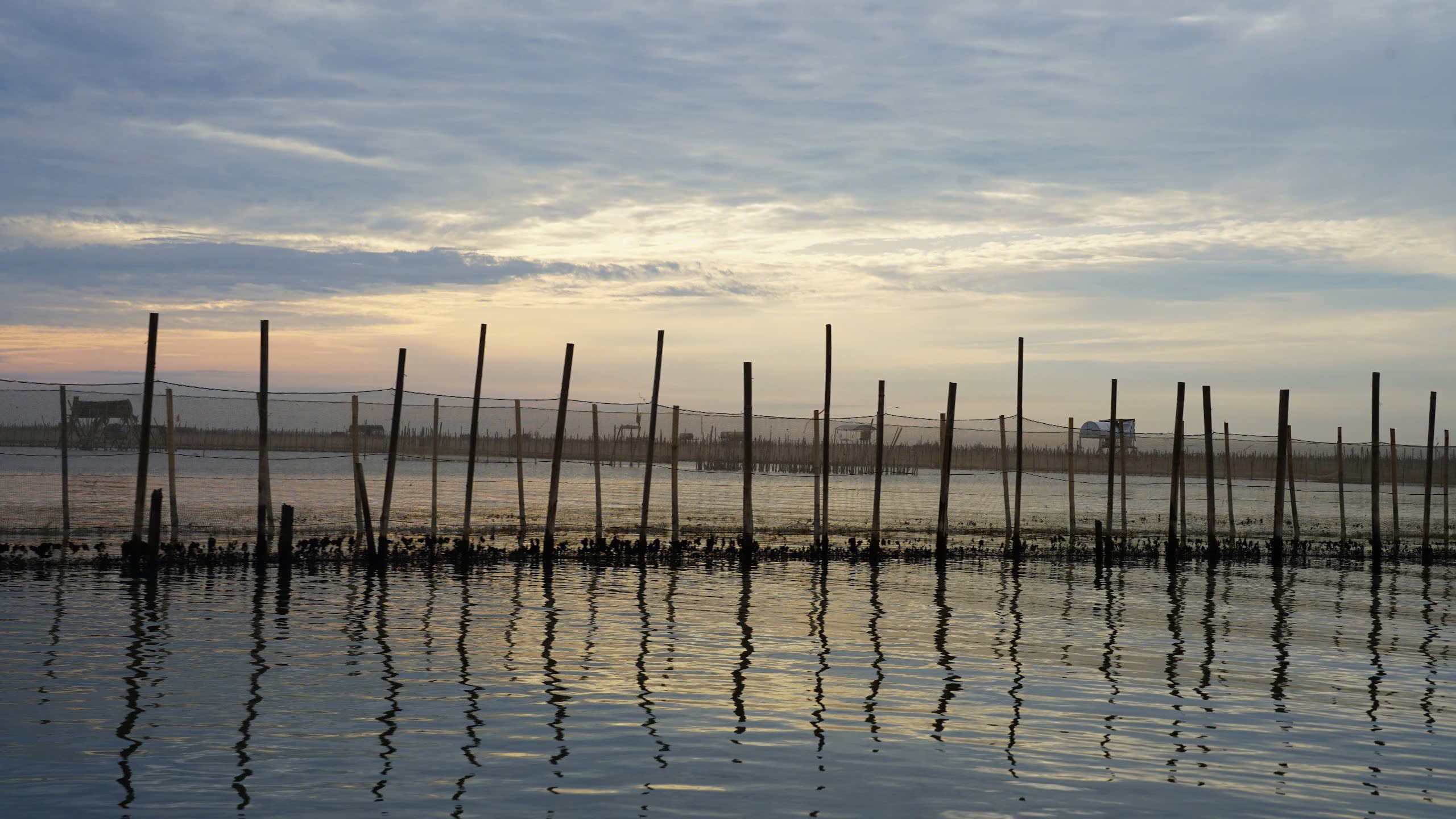tamgiang3