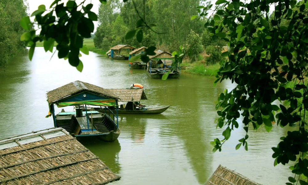 Admire Tram Chim National Park by boat (source: Gody)