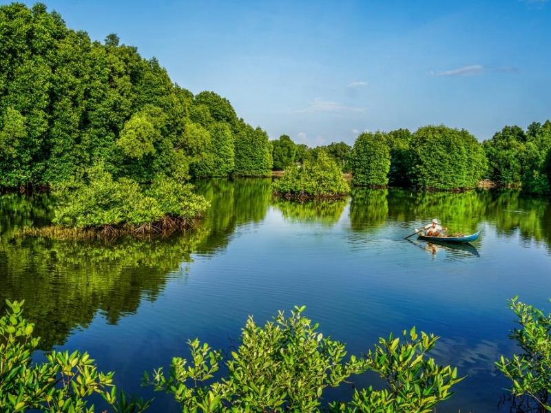 Ca Mau Cape Mangroves forest (source: Viet leading travel)