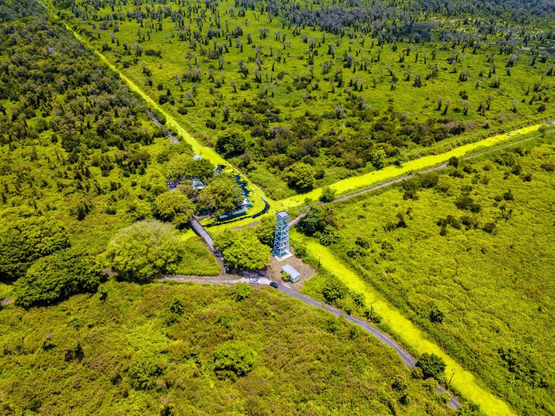 U Minh Ha National Park features a unique wetland ecosystem on peatland