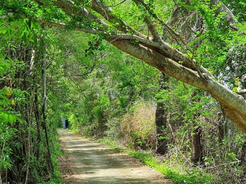 Enjoy a peaceful and relaxing atmosphere 