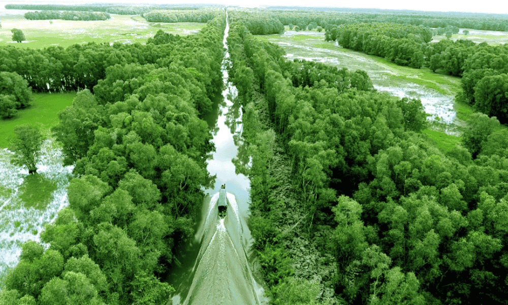 Tram Chim National Park during floating season (source: Thanh Nien news)