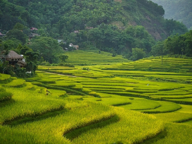Visiting Pu Luong Nature Reserve (source: Colourful journeys)