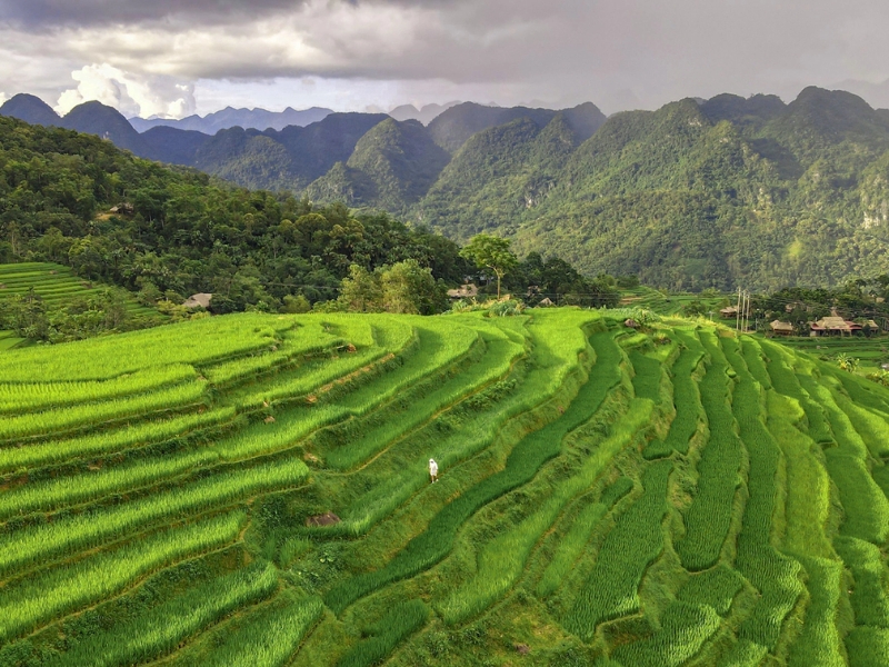 Everything you need to know before visiting Pu Luong (source: Sinhtour)