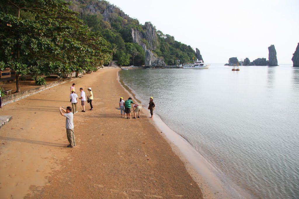 bãi dương