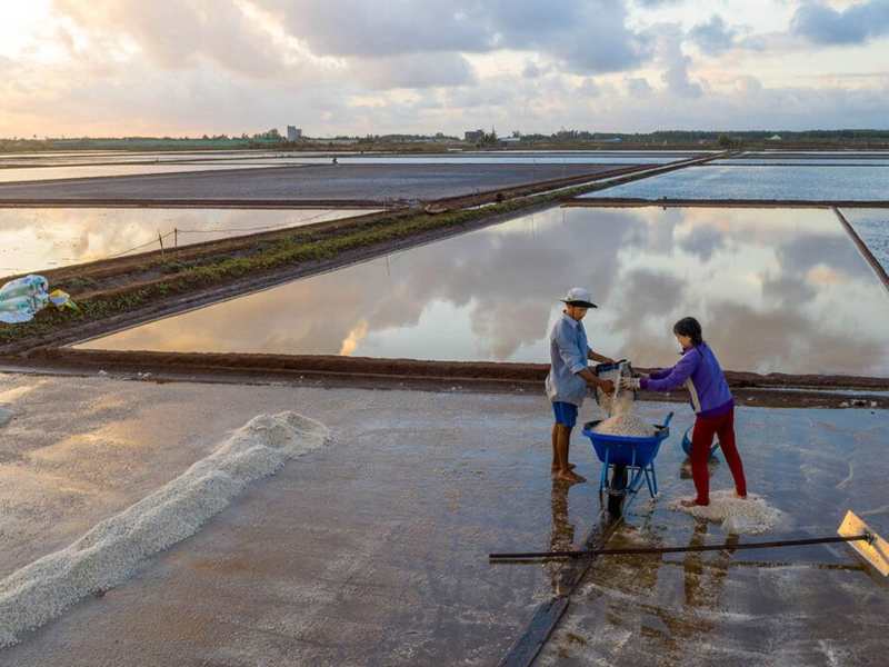 Bac Lieu salt fields (source: Vietnam budget car rental)