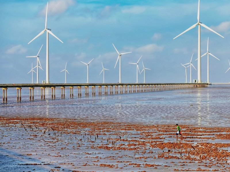 Admire the giant wind turbines up close (source: VOV)