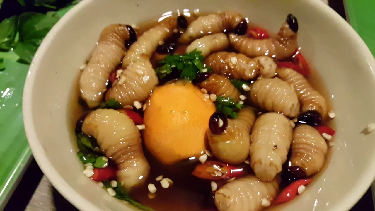 Coconut worms - Ben Tre culinary’s delight (source: bazan travel)
