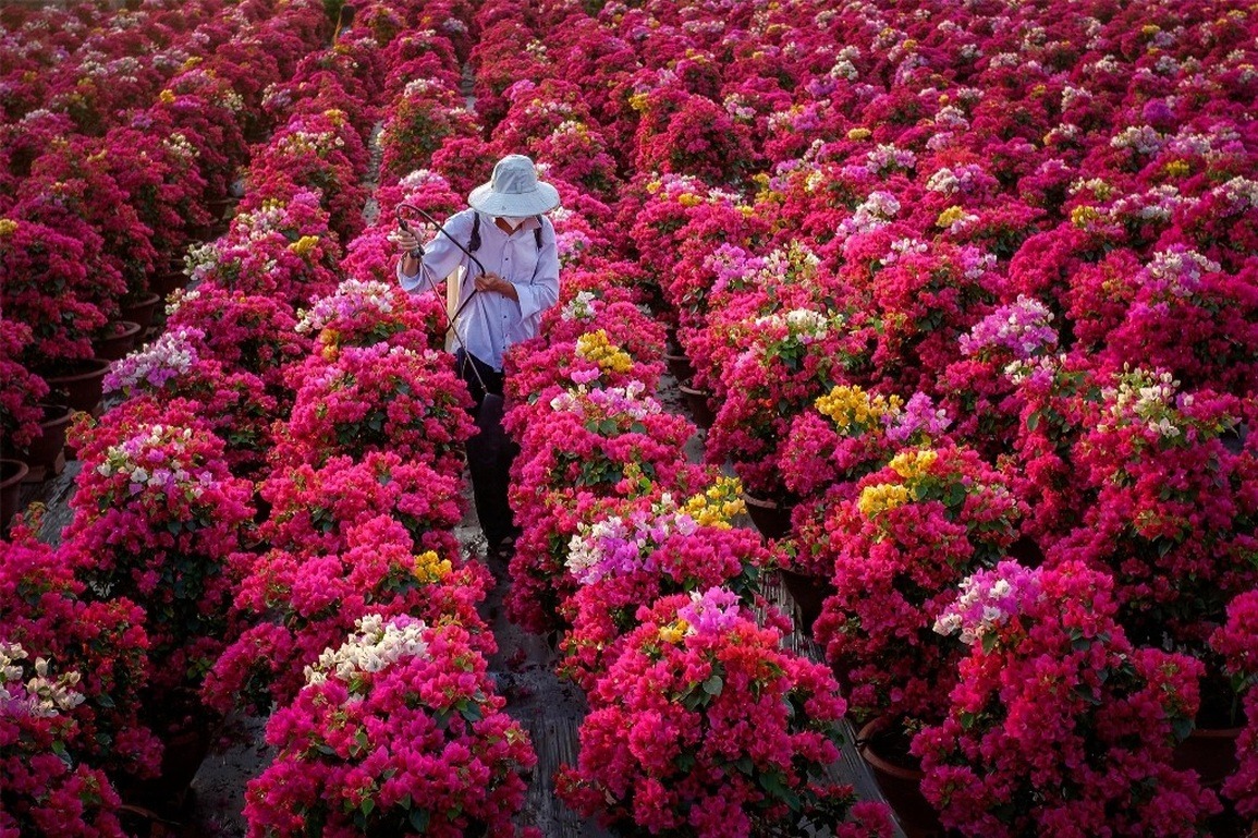 Cai Mon Orchard Village (source: DMC in Vietnam)