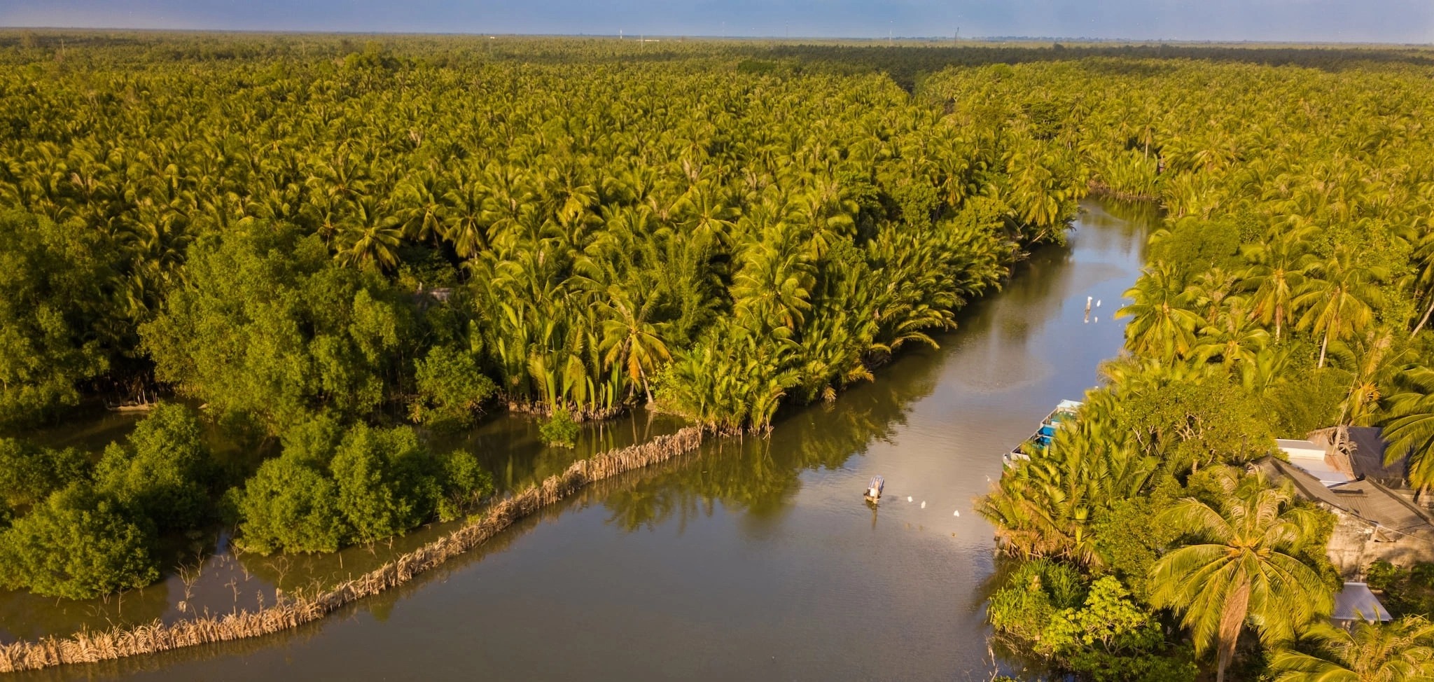 Ben Tre - “coconut capital of Vietnam” (source: Traveloka)