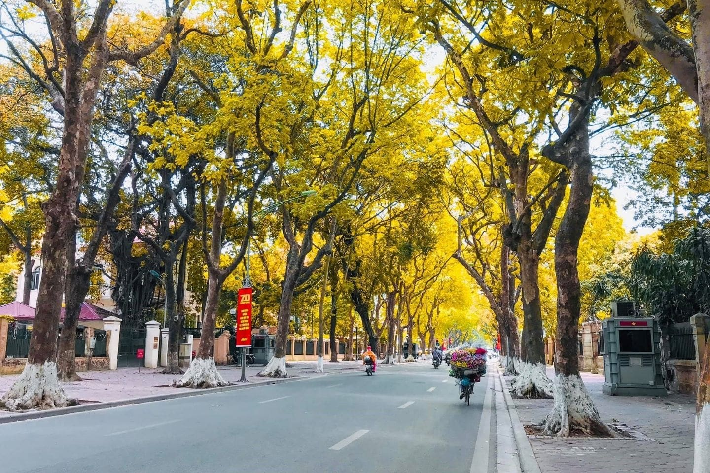 Autumn - the most romantic season of the capital of Vietnam