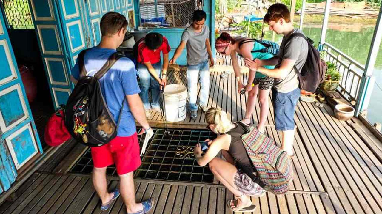 Visit the floating fish farm (source: nu cuoi mekong)