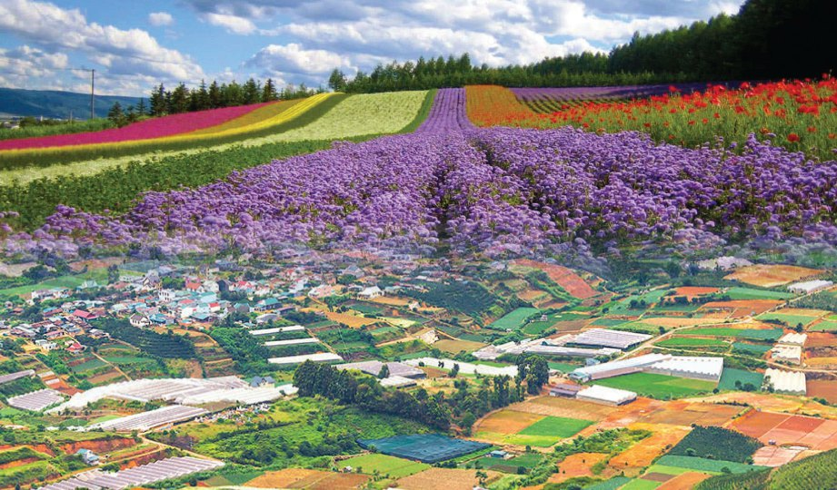 Best time to visit Dalat (source: harian metro)