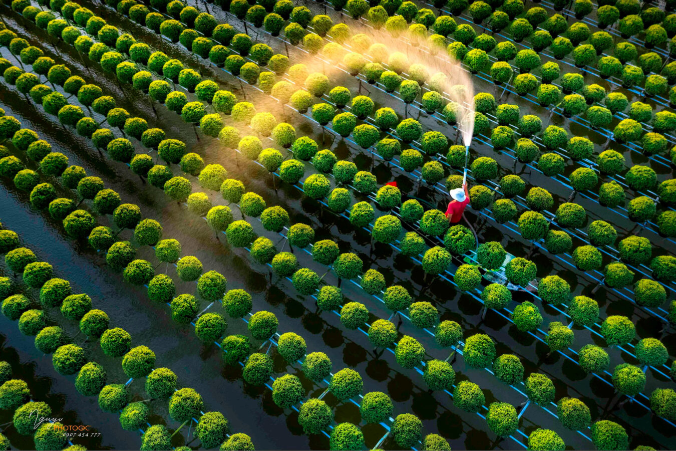 Visitors can step into the role of a gardener in Sa Dec Flower Village 