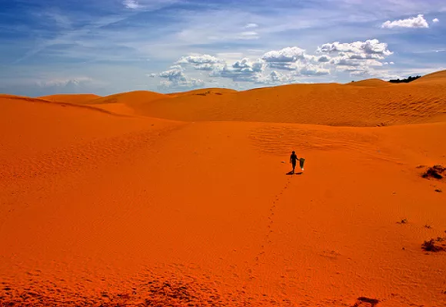 Red Sand Dunes