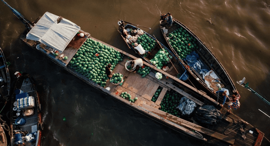 Phong Dien floating market (source: Du lich Okela)