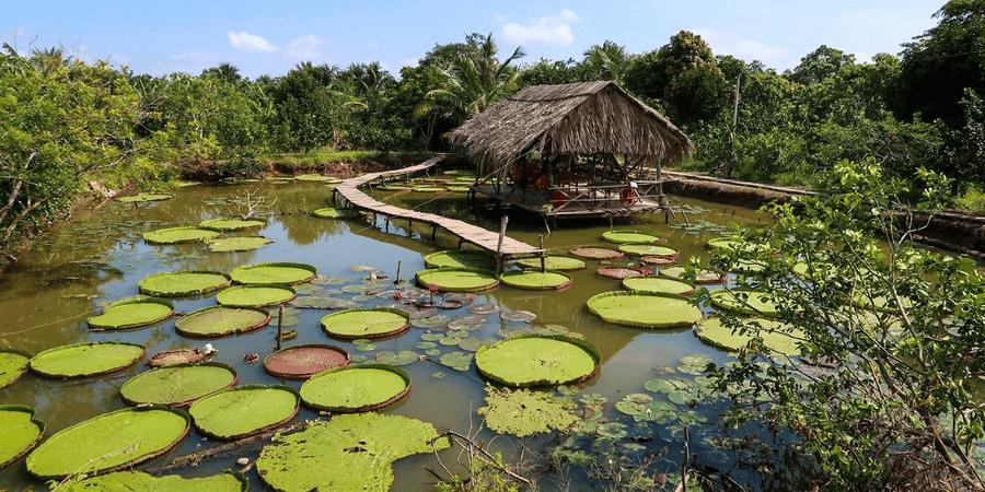 Son islet (source: iViVu)