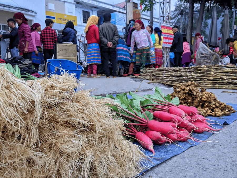 Seasonal vegetables from mountain (source: Phap luat Dan toc va Ton giao)