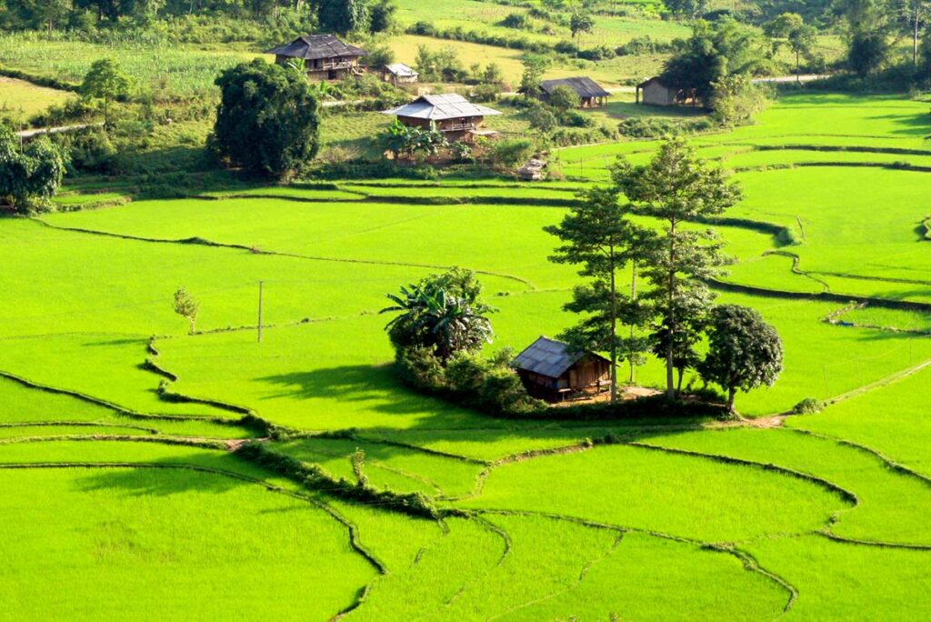 Lose yourself in the peace of Du Gia Village (Source: Tuoi Tre)