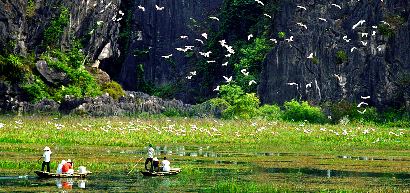 Immerse yourself in the peace of Van Long nature reserve (source: so du lich ninh binh)