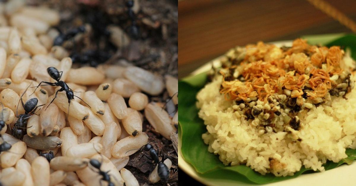 ninh-binh-food-3