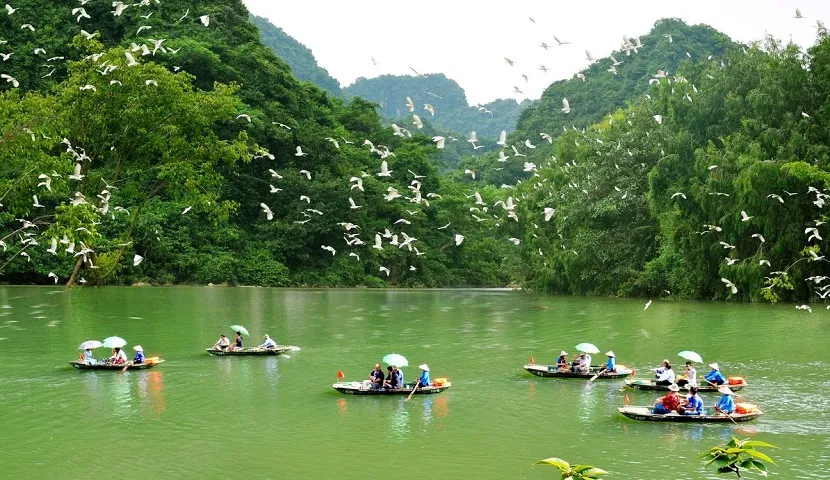 Thung Nham bird park is an ideal spot for birdwatching (source: Izitour)