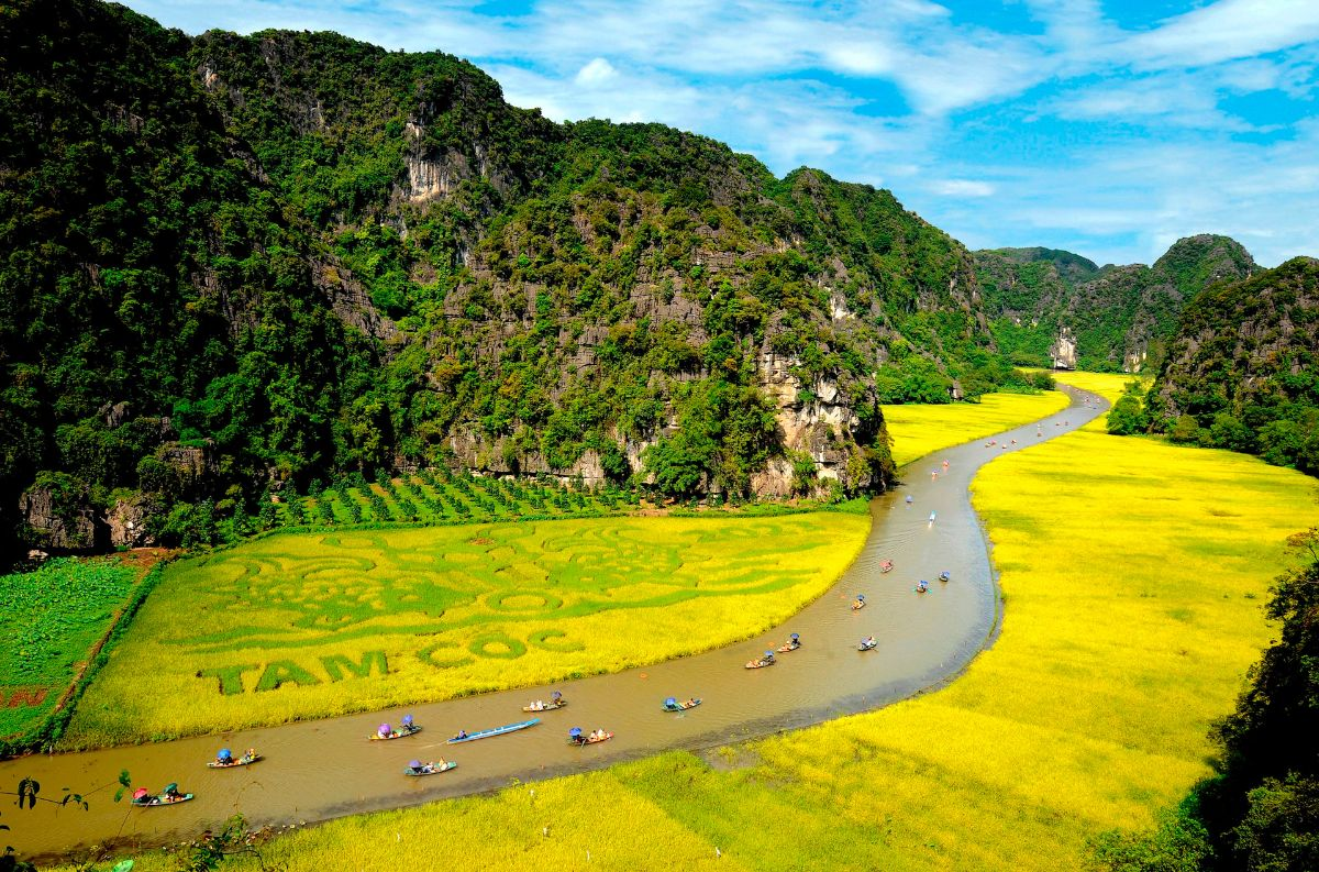 You can see vast rice fields endlessly (source: VOV)