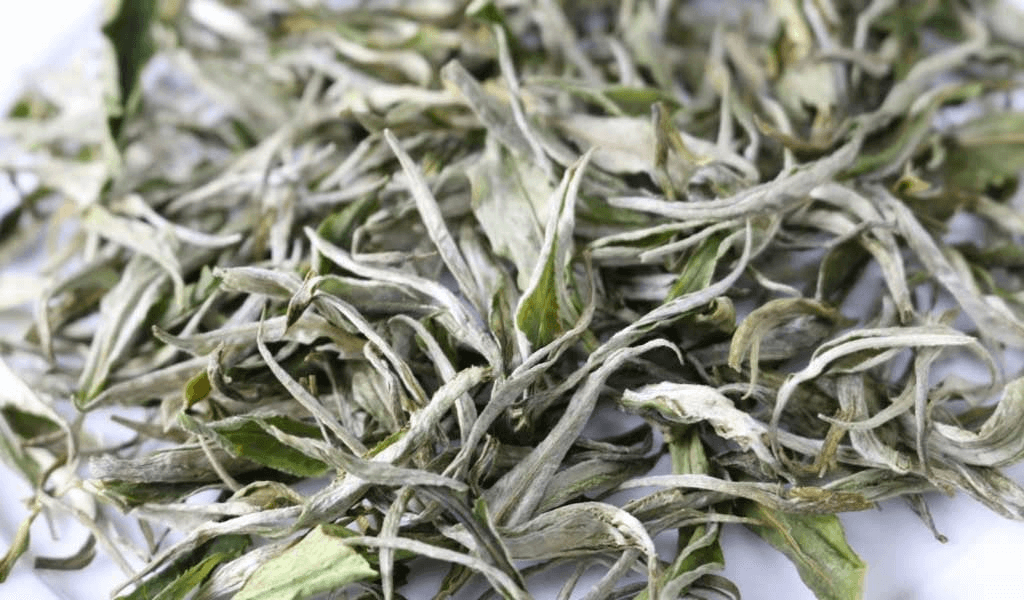 Shan Tuyet tea (source: Tra Chinh Son)
