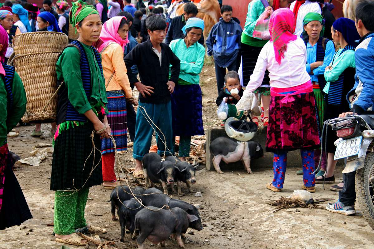 Meo Vac Market - The largest and most vibrant market in Ha Giang (Source: Local Vietnam)