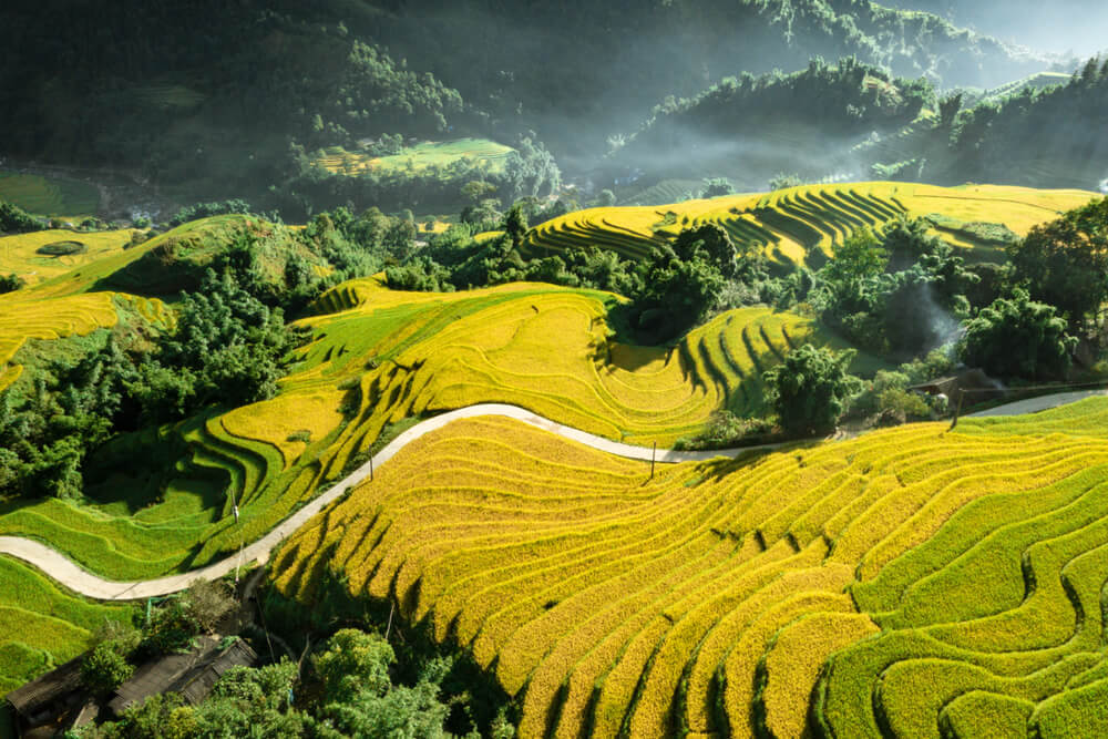 Stunning features of Ta Van Village is its terraced fields (Source: Vietnam Online)