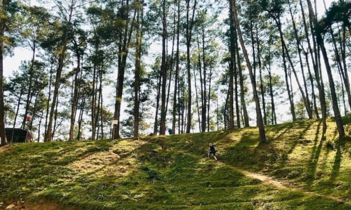 The crisp, fresh air fosters a tranquil ambiance (Source: Ha Giang Amazing Tour)