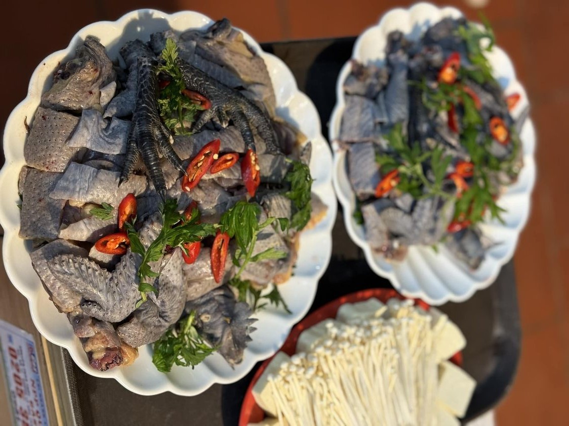Ga den is prized for its tender meat and medicinal qualities (Source: Discover Ha Giang)