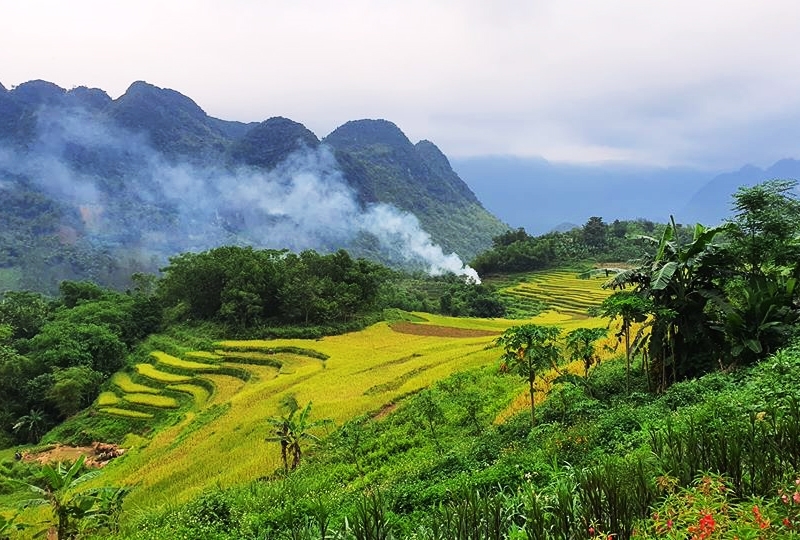 overview puluong
