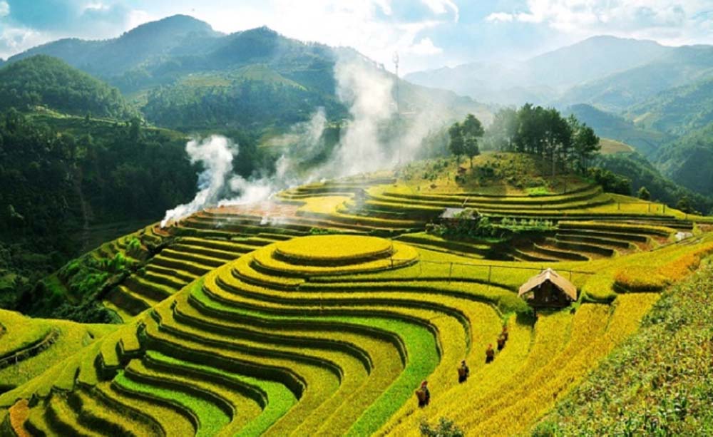 puluong golden