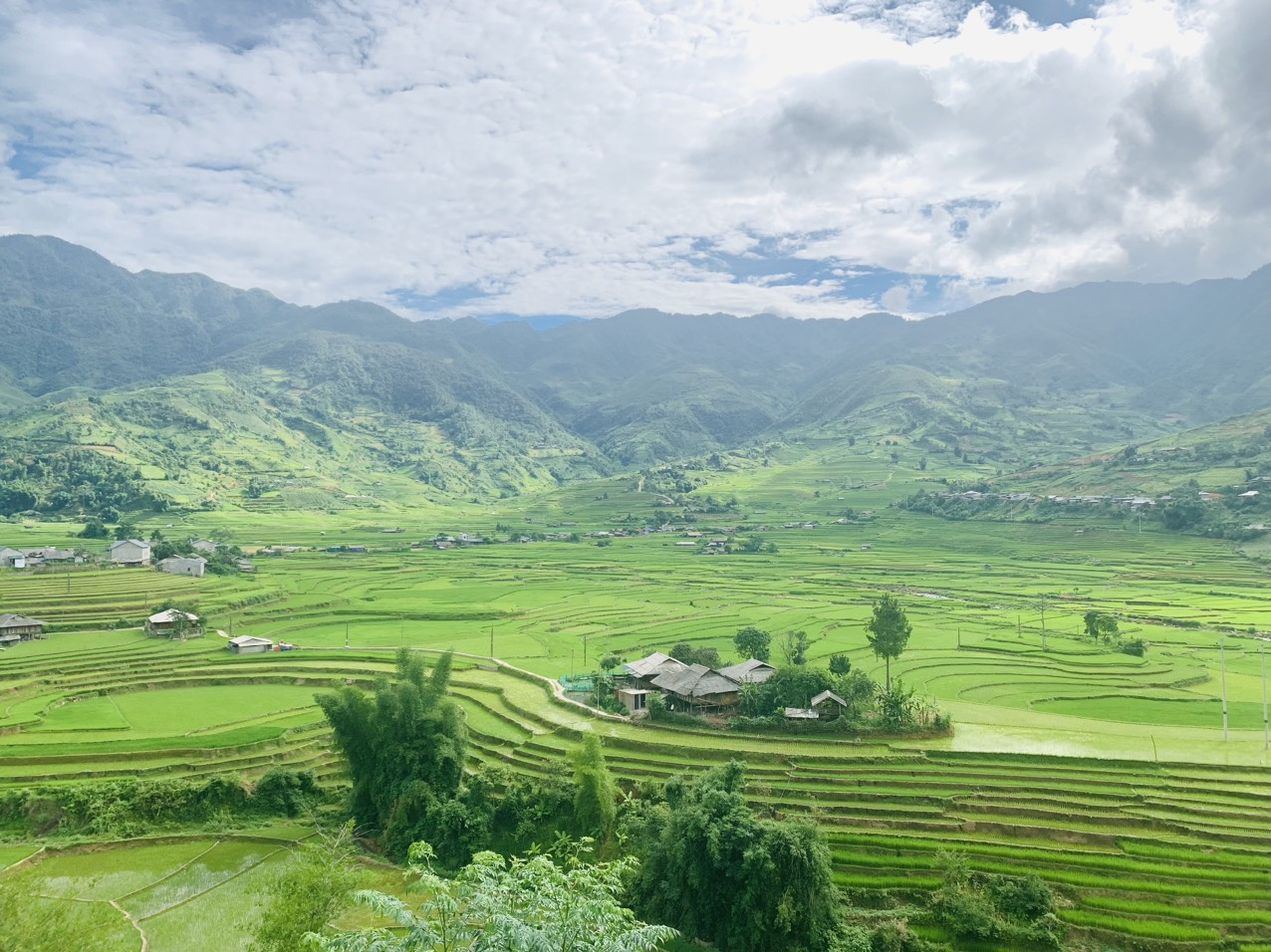 puluong june