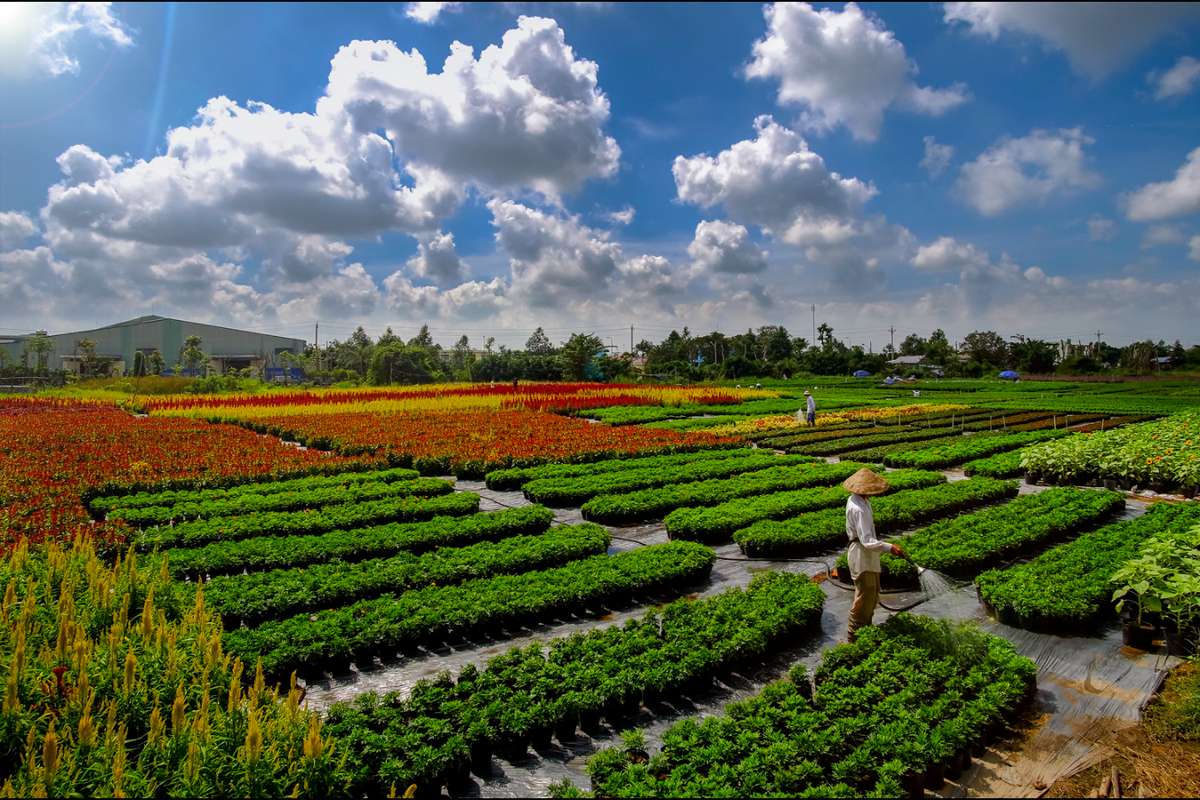 Sa Dec Flower Village