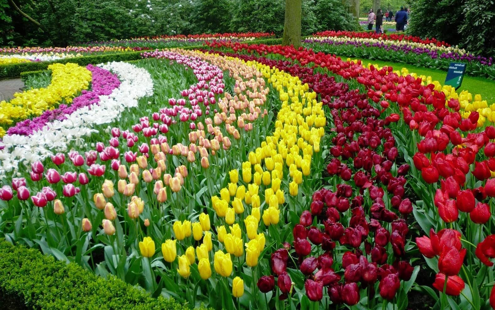 Dalat flower garden (source: dalat tour)